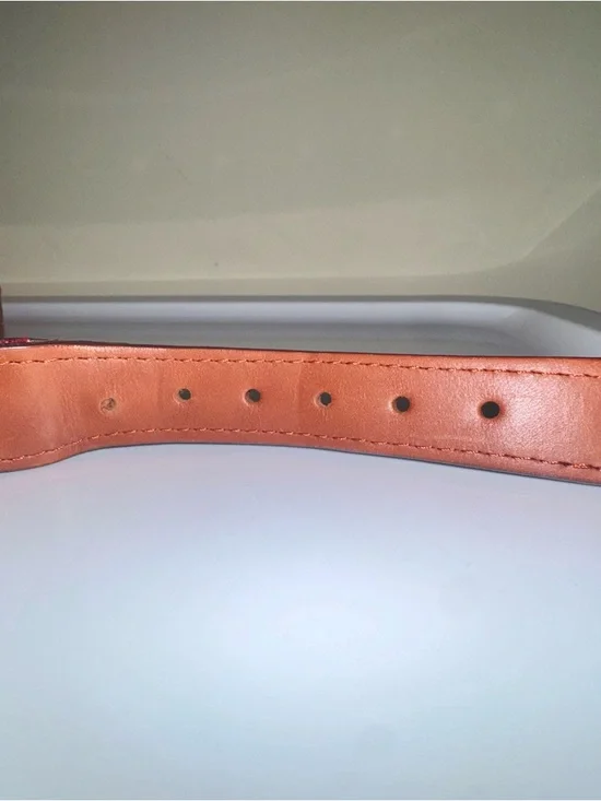 Smathers & Branson UGA Champs Hand-stitched Needlepoint Belt with Leather Trim - Picture 5 of 9